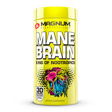 Mane Brain