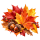 Fall Sale